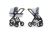 2-in-1 Baby Strollers
