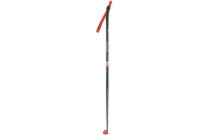 Cross-country skiing Sticks