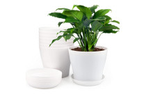 Ornamental flower pots