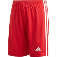 Adidas Squadra 21 Short Youth Jr GN5761 / 164cm