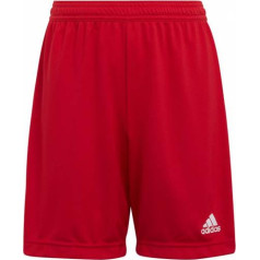 Šorti adidas Entrada 22 Jr H57501 / 164 cm