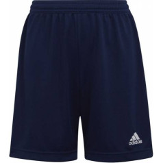 Šorti adidas Entrada 22 Short Y Jr H57565 / 152 cm