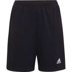 Adidas ENTRADA 22 Training Short Y H57498 / melns / 116 cm