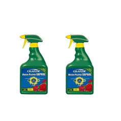 Evergreen Garden 2 x 750 ml Celaflor rose fungus-free