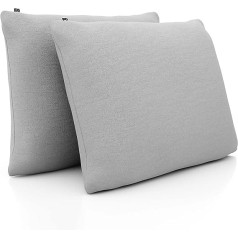 Modern Sofa Cushion Set of 2, 60 x 80 cm with Soft Oeko-Tex Cotton Cover, Comfortable Decorative Cushions with Medium Hard Filling, Perfect as Decorative Back Cushion, Premium Couch Cushion, Large,