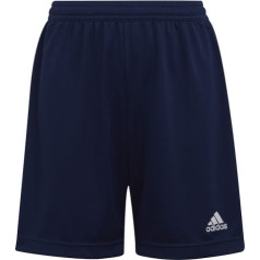 Šorti adidas ENTRADA 22 Short Y H57565 / tumši zils / 164 cm