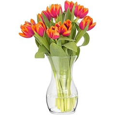 TREND FOR HOME Lily Flower Vase 25 cm Vase for Tulips Tulip Vase Glass Vase for Flowers Glass Flower Vase Table Vase Decorative Vase Clear Glass Vase Decorative Vase Living Room Decorative Vase