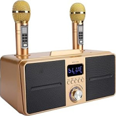 ASHATA Portable Karaoke Microphone System Kit with Dual Wireless Microphone Bluetooth 4.2 Memory Card AUX USB Flash Disk for Home Karaoke Meeting Party Church Etc (Gold)