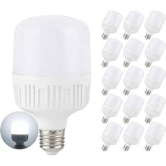 Mengjay LED Lampe 13W,1300LM, Ersatz für 125W Halogenlampen, 220V Kaltweiß 6000K,360 Grad, LED Birnen, LED Leuchtmittel,Nicht Dimmbar-15 Pack