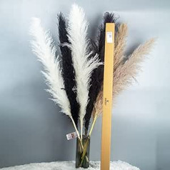 KUNSTIFY XXL Pampas Grass 100 cm, Natural Dried Flowers Decoration Set (6 x Mix XXL Pampas)