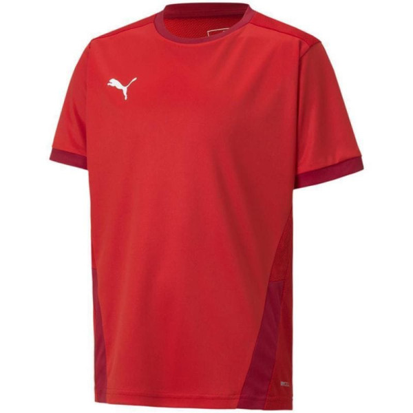 Puma teamGOAL 23 Jersey Jr T-krekls 704160 01/140cm
