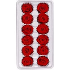 PRETYZOOM Pack of 12 Rose Heads Preserved Flower Rose Rose Forever Rose for Decoration Wedding Gift Bouquet Craft Red