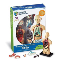 Learning Resources Human Anatomy Human Body Model