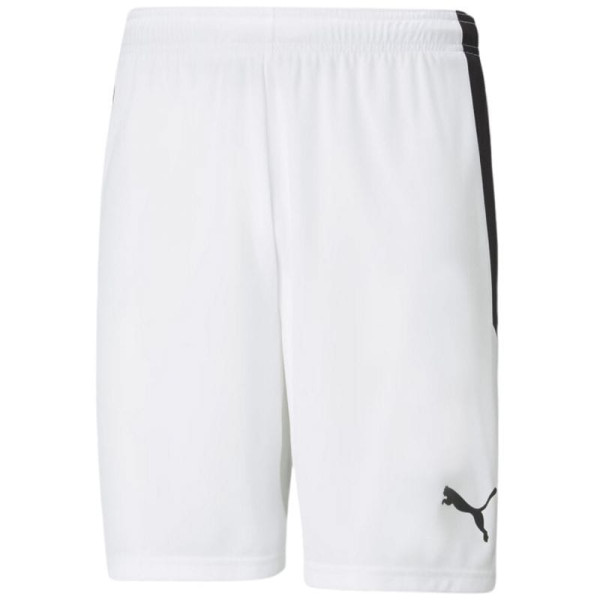 Puma teamLIGA M šorti 704924 04 / XL