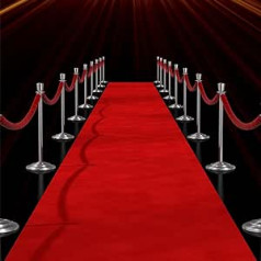 mosegor Red Carpet 10 x 1 m VIP Runner Red Carpet Wedding Event Rug Christmas Outdoor Reception Rug for Party, Ceremony