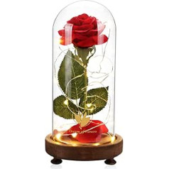 Dream of Flowers Christmas Flowers Gifts Beauty and the Beast Rose Kit, Red Silk Rose Lasts Forever, with Warm White Christmas LED Lights, Romantic Gifts for Her, Unique Gift
