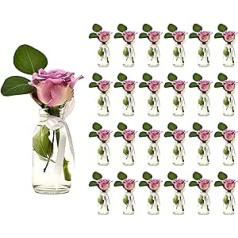 casavetro 24 x Small Vases Glass Bottles C Decorative TR Wide Neck Including White Bow Country House Vintage Vase Bottle Glass Clear Mini Milk Bottles Decorative Bottles (24 x TR Milk + White Bow)