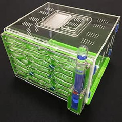 Acrylic Ant Nest Transparent for Kids Educational Toys Farm Villa House Ant Tower Portable Cave Display Case Educational Formicarium Habitat (Colour: