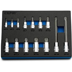 Capri Tools XZN Triple Square Bit Socket Set 14 Pieces (XZN Bit Set/Master)