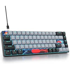 SOLIDEE Portable 65% Mechanical Gaming Keyboard, 68 Keys Compact RGB LED Backlight, Wired Keyboard with USB Type C Cable, with Linear Red Switch for Windows PC Mac (68 Dagger)