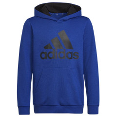 Adidas Big Logo Essentials Hoody Jr HN1912 sporta krekls / 128 cm