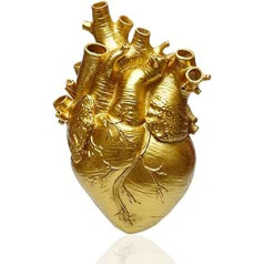 Heart Vase, Anatomical Flower Pot, Decoration for Living Room and Bedroom, Decorative Vase