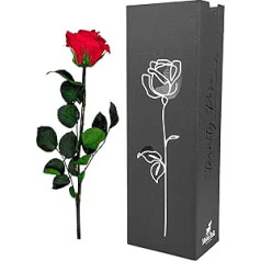 Moos Zeit KUNST DER NATUR Red Infinity Rose with Stem, Real Preserved Rose in Premium Gift Box, Eternal Flower with Rose Fragrance, Durable up to 3 Years
