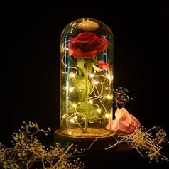 shirylzee Eternal Rose in Glass, Beauty and the Beast Rose in Glass Dome, Gift for Mum, Rose Gifts for Women, Grandma, Birthday, Girlfriend, Mother's Day Gift, Valentine's Day, Anniversary