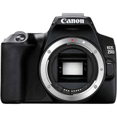 EOS 250D (24.1 Megapixel, 7.7 cm (3 Inch) Vari-Angle Display, APS-C Sensor, 4K, Full HD, DIGIC 8, WLAN, Bluetooth), Silver, incl. EF-S 18 - 55 mm f/4-5.6 IS STM lens, silver.