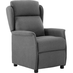 Vidaxl Recliner Chair, Armchair with Reclining Function, Adjustable TV Chair, Wing Chair, Upholstered Chair, Recliner Chair for Living Room, Light Grey Fabric