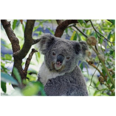 Tbouobt Stoff-Tischsets, waschbare Tischsets für Esstisch, 6er-Set,Tierischer Koala auf Baum