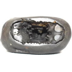 Rudrakshguru Black Fossil Narsimha Shaligram for Men and Women Fossil, Fossil, Fossil