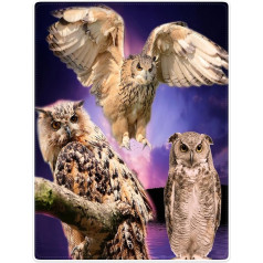 YISUMEI Tapis Cuddly Blankets 150 x 200 cm Soft Flannel Fleece Blanket Bed Throw Owl Purple