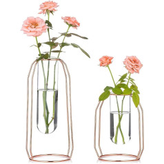 NUPTIO Vases Set of 2 Glass Vases with Metal Frame, Modern Rose Gold Frame, Transparent Vases, Plant Terrariums, Flower Holder Decorations for Wedding, Living Room, Office, Party