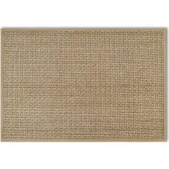 Artoid Mode Home Decor Absorbability Non-Slip Doormat, Washable Rugs Switch Door Floor Mat for Indoor Outdoor Decoration 40 x 60 cm