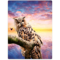 Violetpos Thick Blanket Soft Warm Cosy Flannel Fleece Sofa Blanket Lid Blanket Beautiful Sky Sea Sunset Owl Standing on a Branch 150 x 200 cm