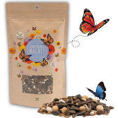 Happyseed Butterfly Meadow Seeds for a Colourful Flower Meadow - Colourful & Nectar Rich Wildflower Seeds Mix for Butterflies