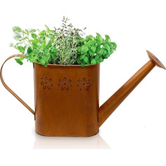 Blümelhuber Patina Garden Decoration Watering Can Vintage - Rust Decorative Watering Can Metal for Planting - Watering Can Metal Decoration for Garden - Metal Watering Can as Balcony Decoration, Patio
