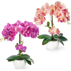 PASCH® 2er Set Orchideen künstlich in Hochglanz-Keramiktöpfen (40cm) | Kunstblumen im Topf | Kunstblumen wie echt | künstliche Orchideen im Topf | künstliche Blumen im Topf | Kunstblume Orchidee