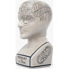 ACL Phrenology Head Ceramic Ornament Collectible Retro Bust 23cm Crackle L N Fowler