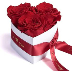 ROSEMARIE SCHULZ Heidelberg Infinity Rose Box Heart 3 Preserved Roses in Box - Durable 3 Years 10 x 12 cm - Declaration of Love Heart Gifts for Women Valentine's Day and Women's Day (I Love You, Red)