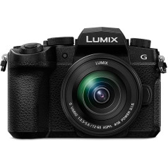 Panasonic Lumix Evil Camera