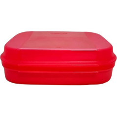 Tupperware Naschkatz 1.1 L Low Salmon Flamingo Bellevue Storage Storage Apollo Lunch Box Biscuit Tin Storage Container