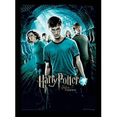 Pyramid International Harry Potter (Order of The Phoenix) 30x40 cm gerahmter Druck, 250GSM PAPERWRAP MDF, Mehrfarbig, 44 x 33 x 4 cm