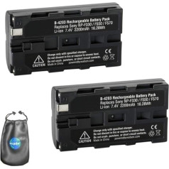 Amsahr Digital Camera and Camcorder Replacement Battery for Sony NP-F550, NP-F330, NP-F570 Pack-2 - Includes Lens Accessories Pouch, B-NPF550-2CT