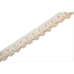 Blausky Stickereispitze,Wellig Dekoband,Stickerei Borte,Borte zum Basteln,Vintage Band,Zierband zum Nähen,Borten Bänder,Dekoborte,für Vorhang,Sofa,DIY Nähzubehör,Heimdekoration,Weißbeige,2.5 cm x 2 m