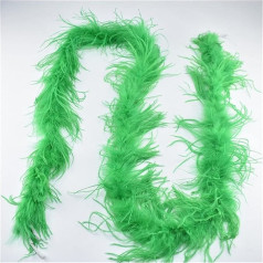 KIHENE Beautiful 2 Metres / Set Ostrich Feathers Boa Costume / Shaw / Dancer Wedding Party Decoration Panaches and Feathers for Crafts (Colour: Grass Green)