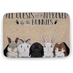 Door Mat Decorative Mat Spring Decor Rabbit Doormat Paillasson Personnali Indoor Door Mat 40x60cm