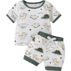 Geagodelia Baby Clothing Set Children Toddler Baby Boys T-Shirt Short Sleeve Tops + Shorts Baby Newborn Set Summer Outfits Baby Clothing Set 0-5 Years