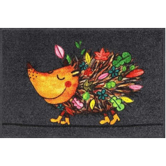Salonloewe Funky Hedgy Doormat 50 x 75 cm Entrance Mat Hedgehog Colourful Funny Washable Doormat Autumn Colours